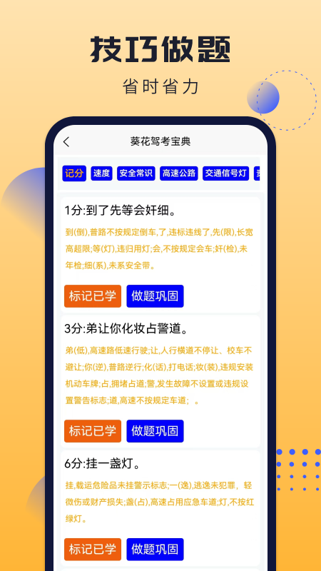 葵花驾考2