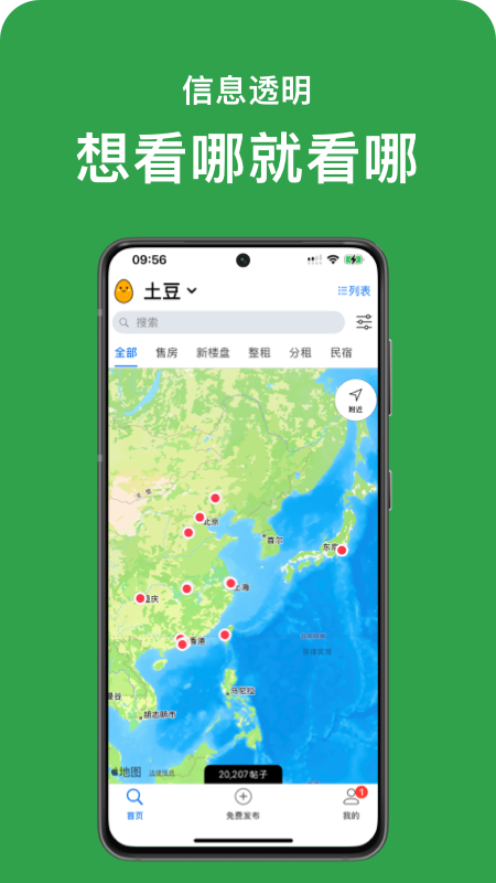 土豆1