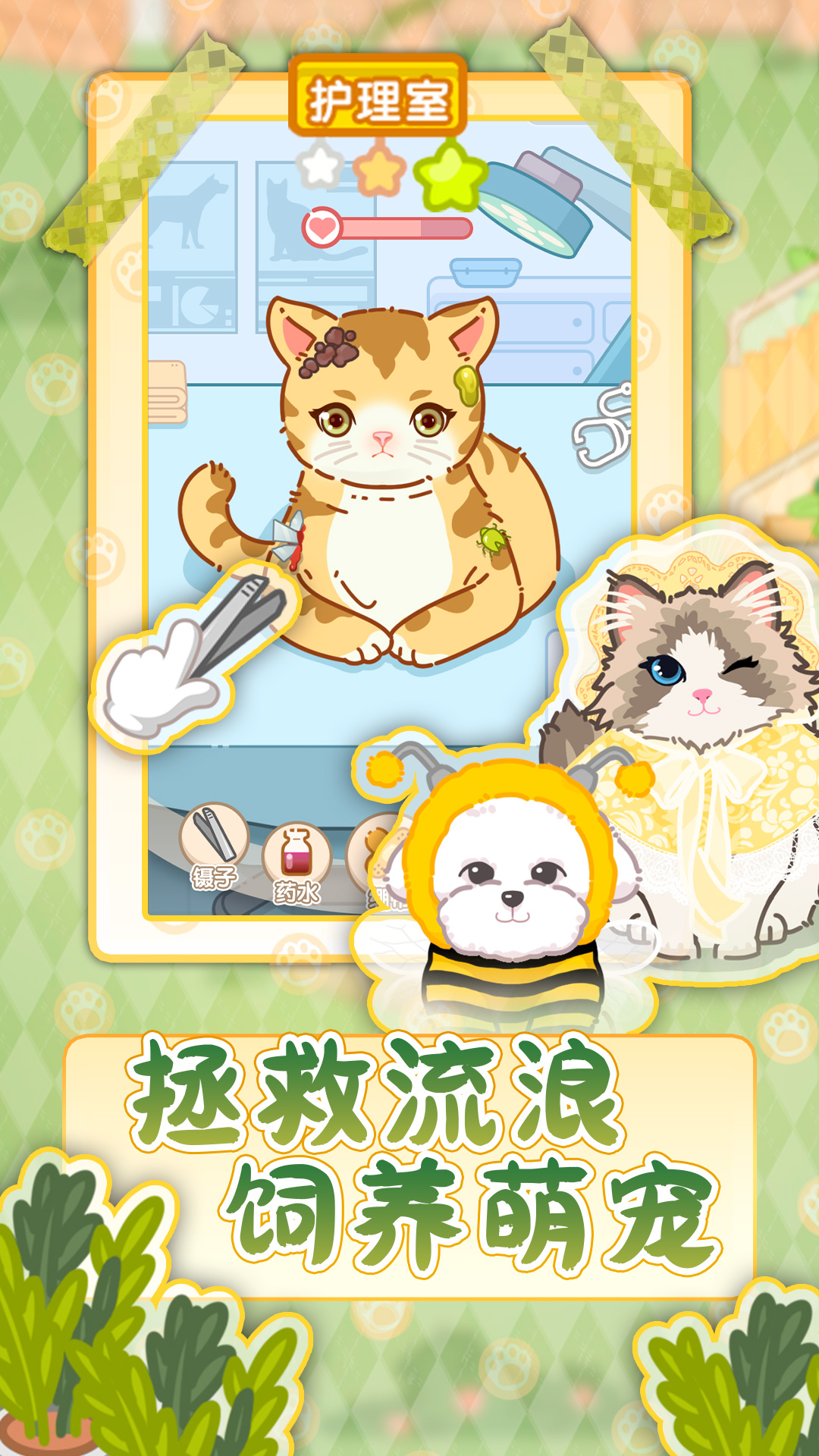 猫猫狗狗一起玩5