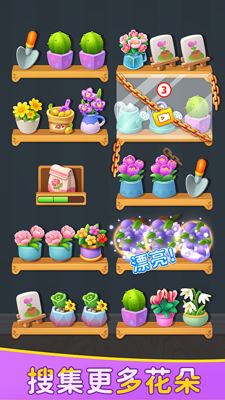 鲜花收纳4