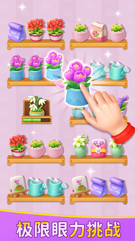 鲜花收纳5