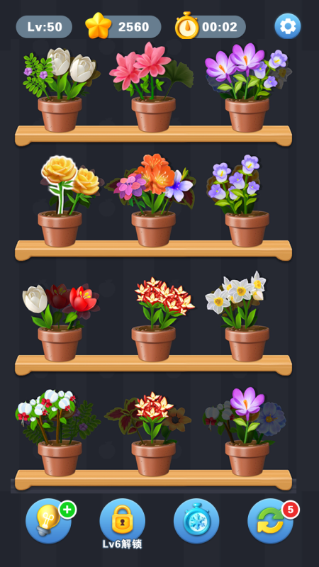 花朵拼拼5