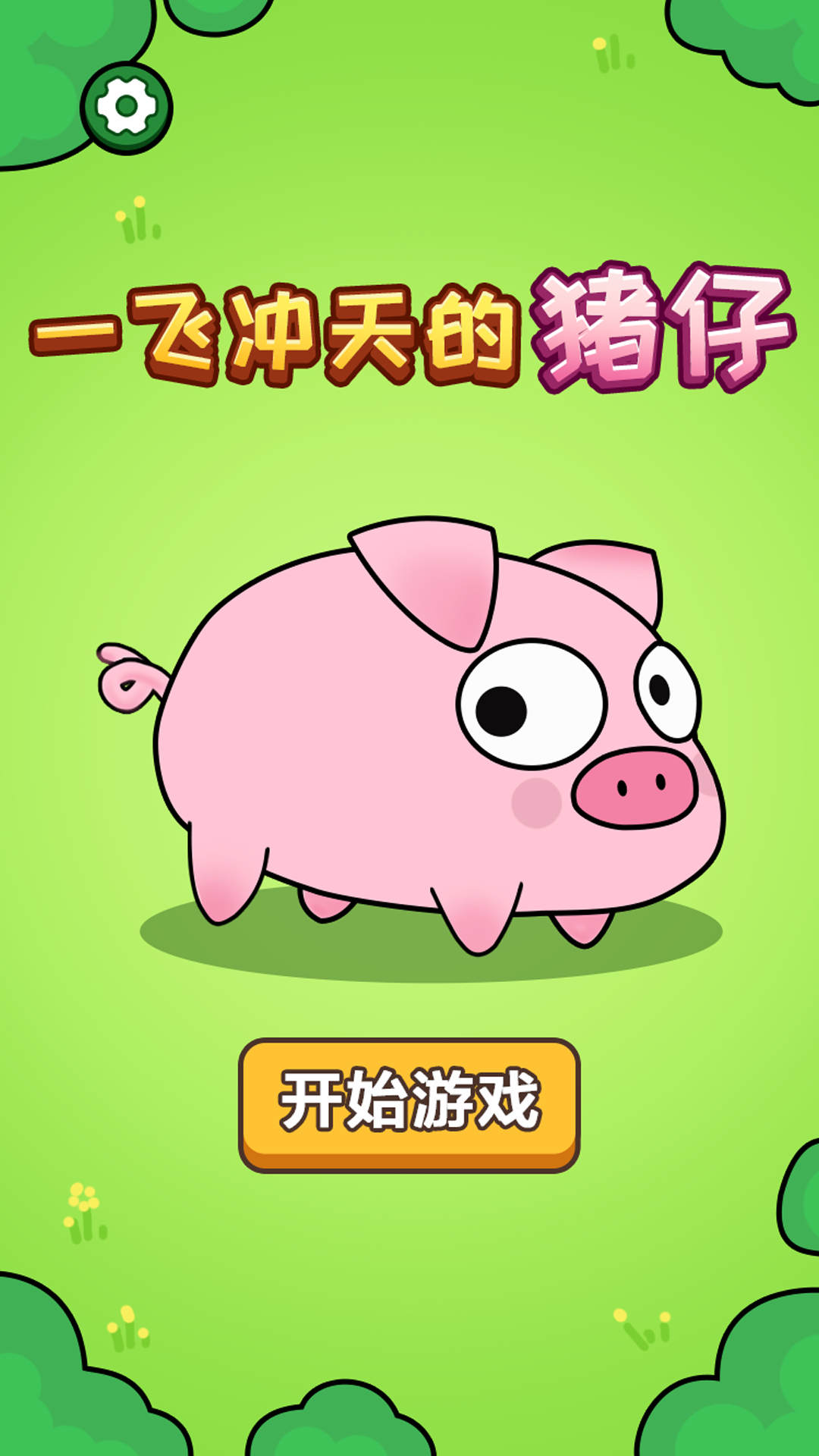 一飞冲天的猪仔5