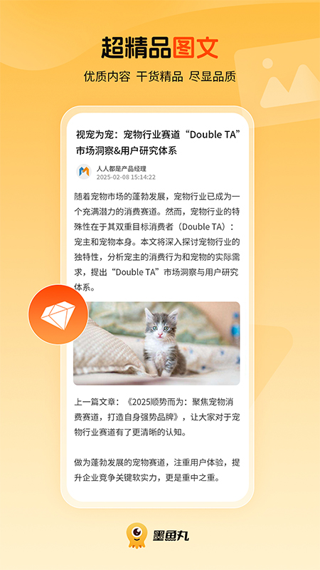 墨鱼丸1