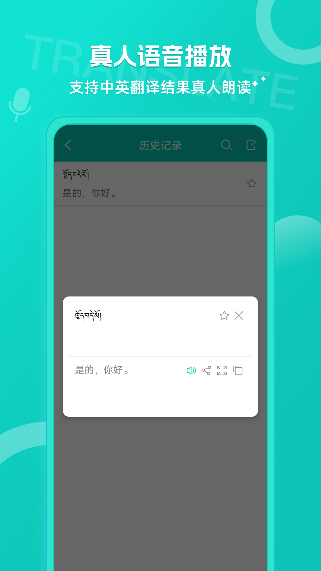 藏英翻译3
