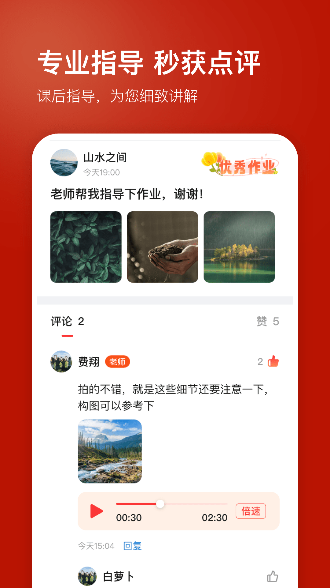 红松3