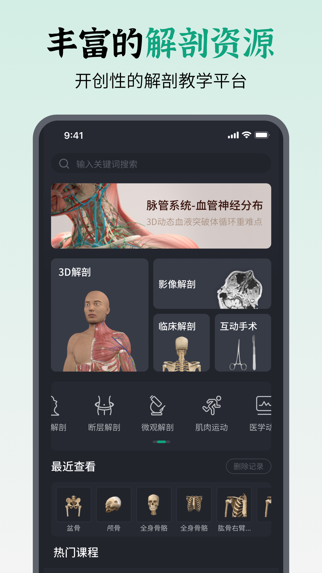 万康人体解剖2